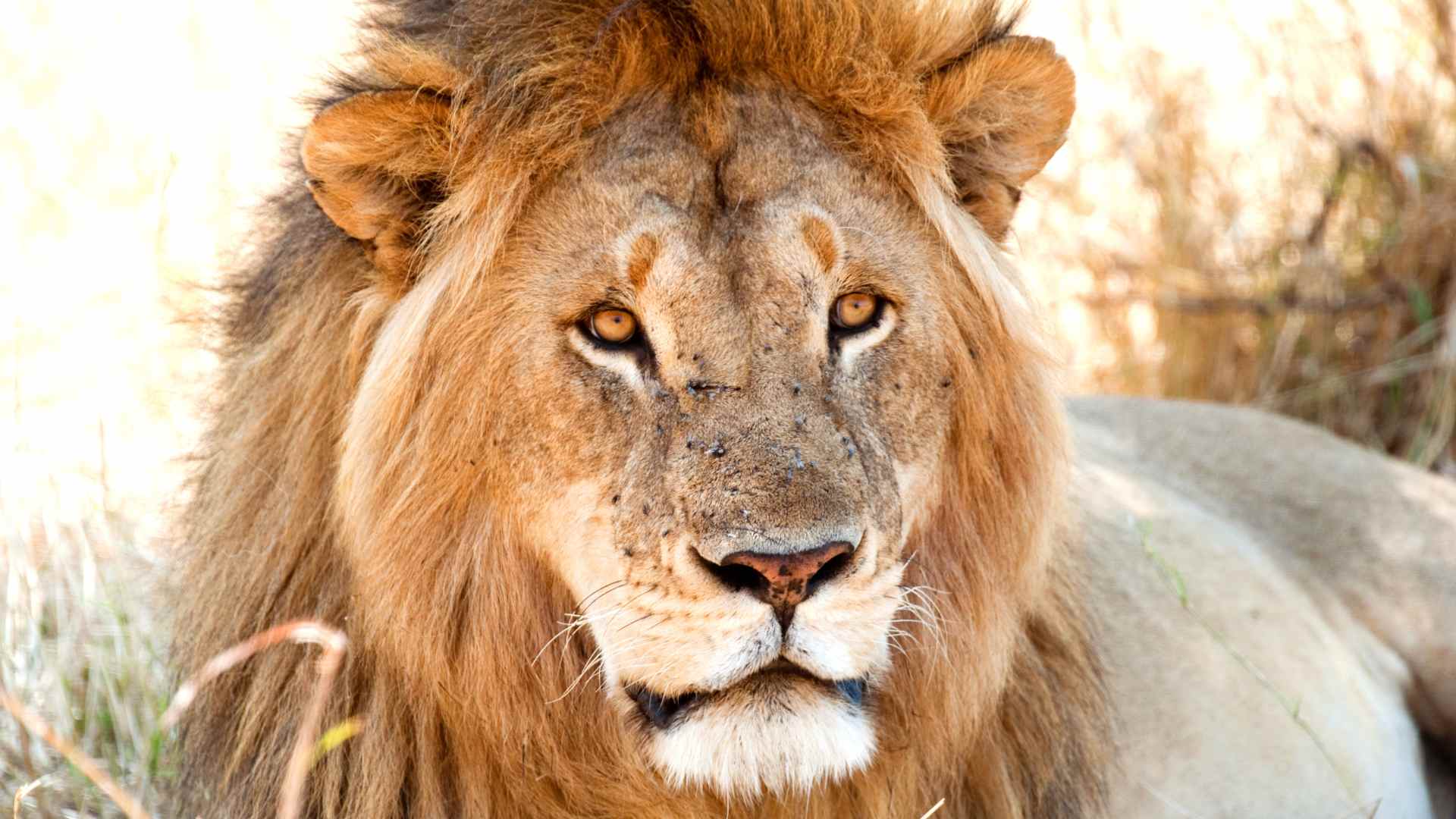 Expedición a Tanzania: Viaje al origen de la Humanidad