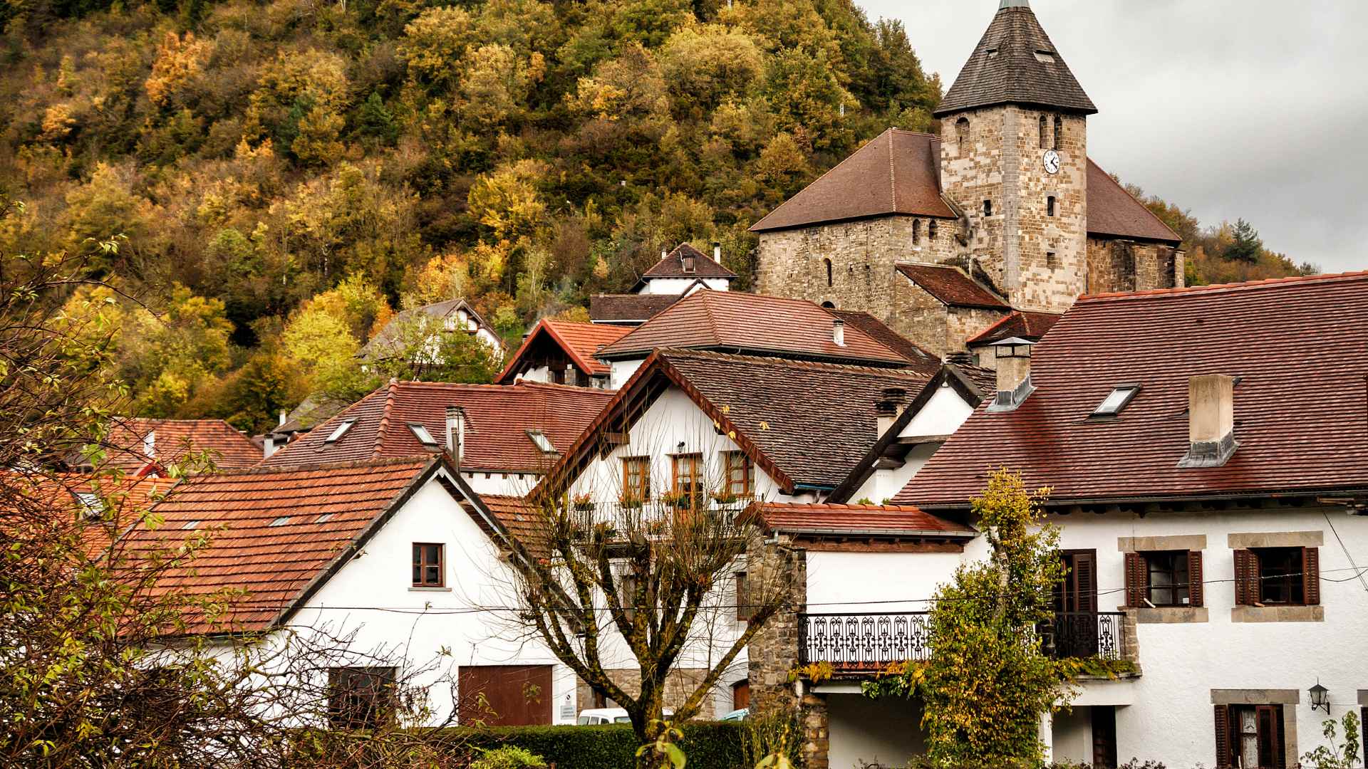 Navarra Mágica: Bosques, Castillos y Cultura