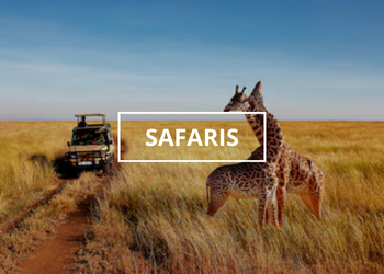 SAFARIS